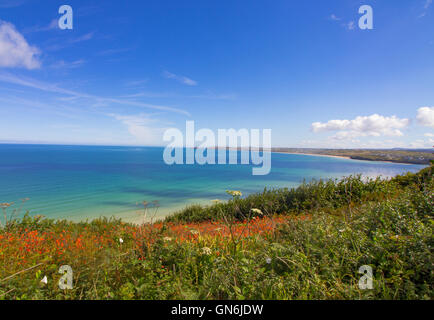 Montbretia (Crocosmia) Blumen Blumen auf der South West Coastal Path zwischen Lelant & Carbis Bay, Cornwall, UK Stockfoto