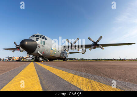 Belgische Luft Komponente Lockheed C - 130H Herkules Transportflugzeug. Stockfoto