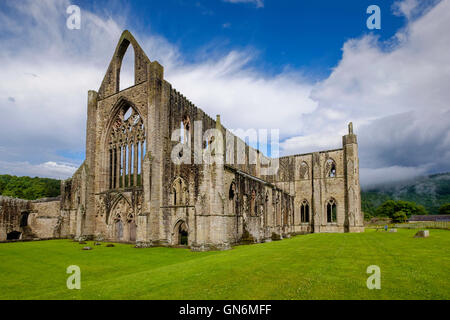 Tintern Abbey in der Nähe von Dorf Tintern, Monmouthshire Wales UK. am Ufer des Flusses Wye.Founded in 1131by Walter de Clare. Touristen Stockfoto