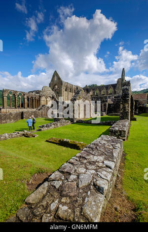 Tintern Abbey in der Nähe von Dorf Tintern, Monmouthshire Wales UK. am Ufer des Flusses Wye.Founded in 1131by Walter de Clare. Touristen Stockfoto