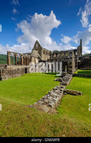 Tintern Abbey in der Nähe von Dorf Tintern, Monmouthshire Wales UK. am Ufer des Flusses Wye.Founded in 1131by Walter de Clare. Stockfoto