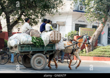 Ein Pony und eine Falle, die drei mit frischen Produkten beladene Landarbeiter auf der Hauptstraße in Agra, Uttar Pradesh, Indien, trägt Stockfoto