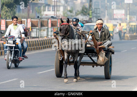 Ein Bauer auf seinem Pferd und Wagen zu teilen eine viel befahrenen Straße an Schwerlastverkehr in Agra Uttar Pradesh.India Stockfoto