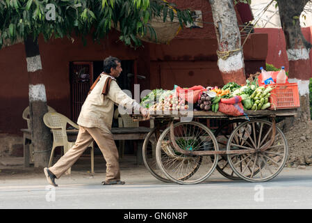 Ein Obst- und Gemüsehändler, der seinen Wagen entlang einer belebten Hauptstraße in Agra, Uttar Pradesh, Indien, rollte. Stockfoto