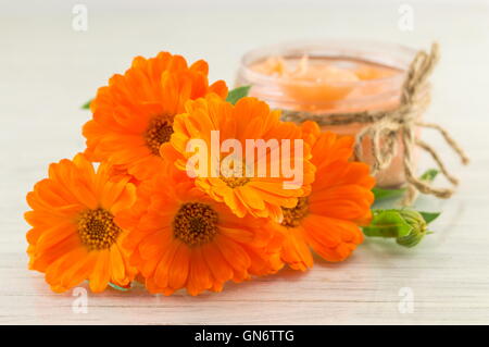 Ringelblume Creme mit einem frischen Blumenstrauß. Naturkosmetik Stockfoto