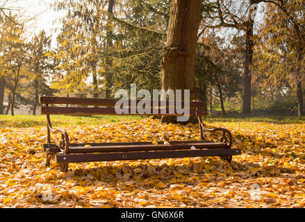 Herbst-Märchen. Park-Pfad mit Laub bedeckt Stockfoto