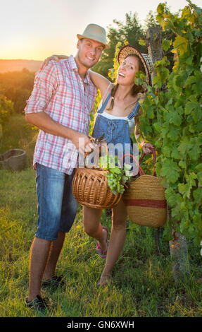 Paar in der Weinlese am Weinberg mit einem Weidenkorb Stockfoto