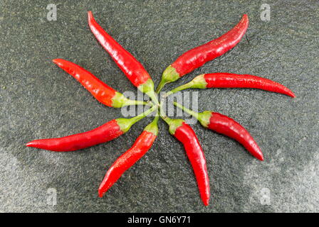 Rote heiße rohe Paprika auf Stein Hintergrund Stockfoto