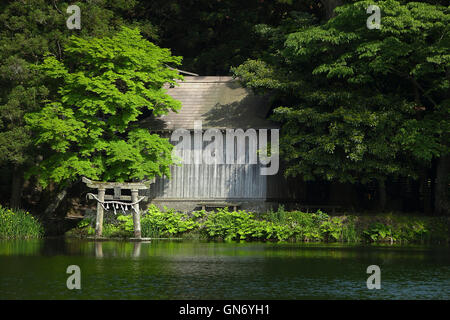 Goldene Waage See, Yufu, Japan Stockfoto