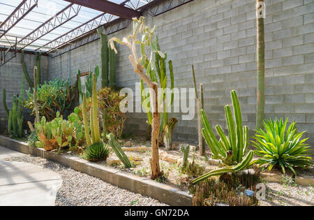 Living Desert Zoo Gardens State Park Stockfoto