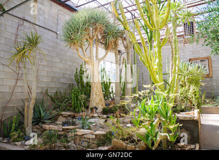 Living Desert Zoo Gardens State Park Stockfoto