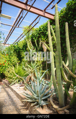 Living Desert Zoo Gardens State Park Stockfoto