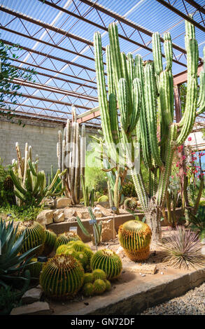 Living Desert Zoo Gardens State Park Stockfoto