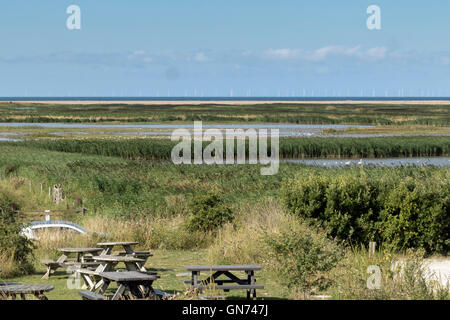 Naturschutzgebiet bei Cley Next am Meer in Norfolk Stockfoto