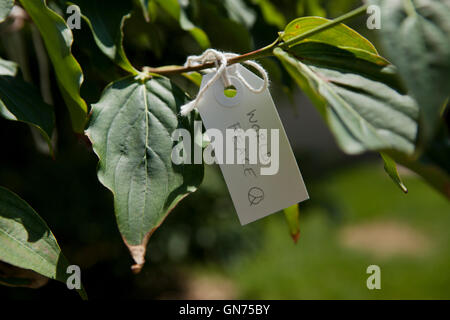 Tag mit Meldung auf Yoko Ono wünschen Baum - USA Stockfoto