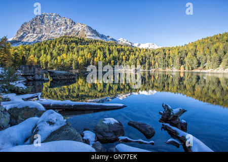 Bunte Wälder spiegelt sich in das blaue Wasser des Sees Saoseo Poschiavo Valley Kanton Graubünden Schweiz Europas Stockfoto