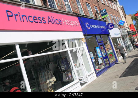 Reihe von Charity-Shops, Heide-Straße, Twickenham, Greater London, England, Großbritannien, Vereinigtes Königreich UK, Europa Stockfoto