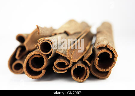 Zimtstangen vor einem weißen Hintergrund Stockfoto