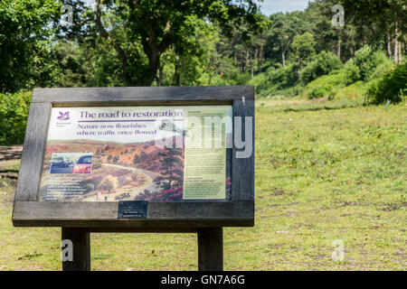 National Trust Zeichen am Anfang einer der vielen Wanderungen in und um des Teufels Bowle, in der Nähe von Hindhead, Surrey, England. Stockfoto