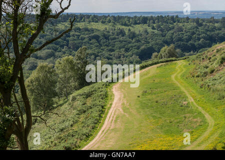 Die Reste der alten Straße A3 und nun einer der vielen Wanderungen in und um des Teufels Bowle, in der Nähe von Hindhead, Surrey. Stockfoto