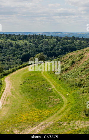 Die Reste der alten Straße A3 und nun einer der vielen Wanderungen in und um des Teufels Bowle, in der Nähe von Hindhead, Surrey. Stockfoto