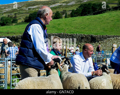 Schafe am Reeth Show, Swaledale, Yorkshire Dales National Park, North Yorkshire, England UK beurteilt wird Stockfoto