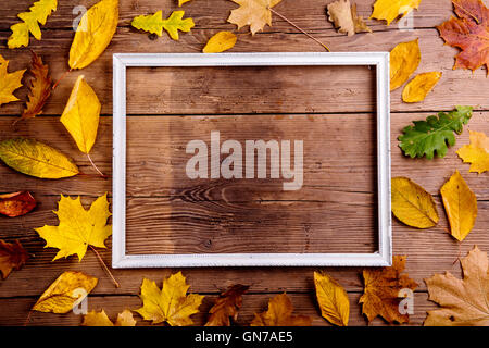 Herbst Blatt Komposition mit Bilderrahmen. Kopieren Sie Raum. Stockfoto
