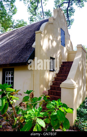 Rose im Garten des Vergelegen historischen Weingut in Somerset West, Western Cape Provinz von Südafrika Terrasse Stockfoto