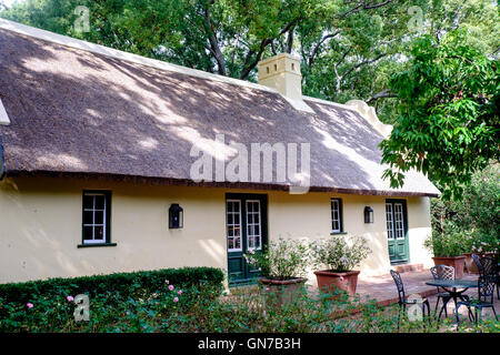 Rose im Garten des Vergelegen historischen Weingut in Somerset West, Western Cape Provinz von Südafrika Terrasse Stockfoto