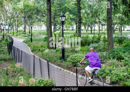 New York City, NY NYC Lower Manhattan, Innenstadt, Battery Park, öffentlicher Park, Garten, Radweg, Schwarzer Erwachsener, Erwachsene, Männer, Reiten, NY160715006 Stockfoto