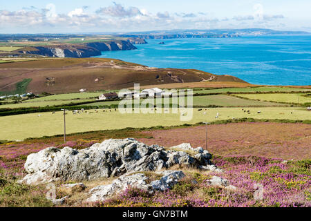 Ein Blick auf die Nordküste von Cornwall von der Spitze der Beacon auf Extrameldung Stockfoto