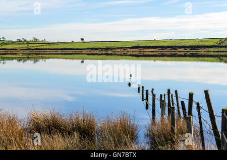 Dozmary Pool auf Bodmin Moor in Cornwall, Großbritannien Stockfoto