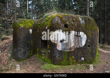 Verlassene Bunker Modell 37 einst ein Teil der tschechoslowakischen Grenzanlagen befindet sich auf der Straße zu dem Dorf Horni Svetla in der Nähe von Jiretin Pod Jedlovou in Nordböhmen, Tschechien. Das Befestigungssystem der tschechoslowakischen Grenze entstand von 1935 bis 1938 als eine defensive Maßnahme gegen die steigende Bedrohung durch Nazi-Deutschland. Stockfoto