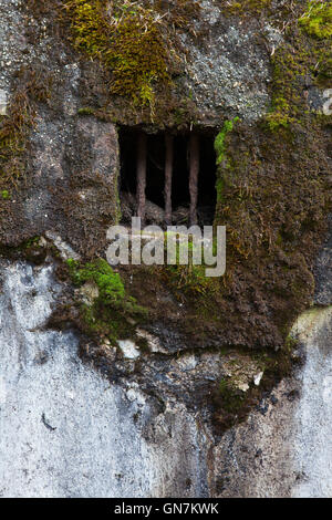 Fenster der verlassenen Bunker Modell 37 einst ein Teil der tschechoslowakischen Grenzanlagen befindet sich auf dem Weg zum Weiler Horni Svetla in der Nähe von Jiretin Pod Jedlovou in Nordböhmen, Tschechien. Das Befestigungssystem der tschechoslowakischen Grenze entstand von 1935 bis 1938 als eine defensive Maßnahme gegen die steigende Bedrohung durch Nazi-Deutschland. Stockfoto