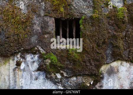 Fenster der verlassenen Bunker Modell 37 einst ein Teil der tschechoslowakischen Grenzanlagen befindet sich auf dem Weg zum Weiler Horni Svetla in der Nähe von Jiretin Pod Jedlovou in Nordböhmen, Tschechien. Das Befestigungssystem der tschechoslowakischen Grenze entstand von 1935 bis 1938 als eine defensive Maßnahme gegen die steigende Bedrohung durch Nazi-Deutschland. Stockfoto