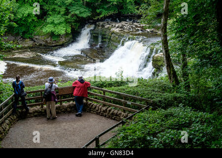 Touristen in Aysgarth Falls, Wensleydale in Yorkshire Dales. Stockfoto