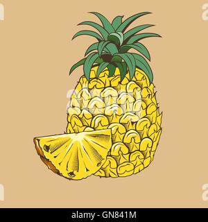 Ananas im Vintage-Stil. Farbige Vektor-illustration Stock Vektor