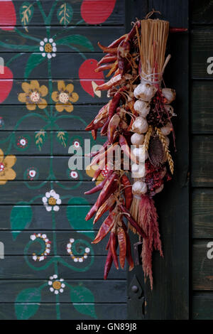 Paprika, um in einem traditionellen Modus in Gietrzwald Dorf getrocknet werden, hängen in der Nähe der Stadt Olsztyn in Woiwodschaft Ermland-Masuren, nordöstlichen Polen. Stockfoto