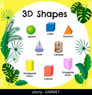 Vektor-3D-Formen. Pädagogische Plakat für children.set von 3D-Formen. Isolierte feste geometrische Formen. Würfel, Quader, Pyramide, Kugel, Zylinder, Kegel, dreieckigen Prisma, hexagonalen Prisma. Dschungel-Thema Stock Vektor