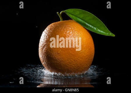 Reife Orange in einem Spray gegen einen schwarzen Hintergrund. Eine Reihe von Obst und Gemüse in Bewegung. Stockfoto