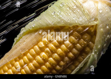 Mais in Spritzer auf schwarzem Hintergrund. Close-up. Eine Reihe von Obst und Gemüse in Bewegung. Stockfoto