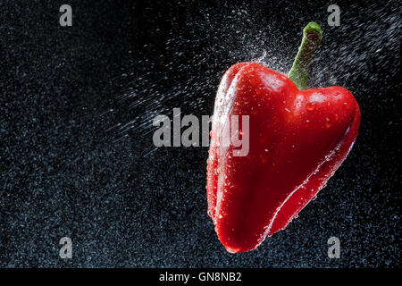 Rote Paprika in einem Spray gegen einen schwarzen Hintergrund. Eine Reihe von Obst und Gemüse in Bewegung. Stockfoto