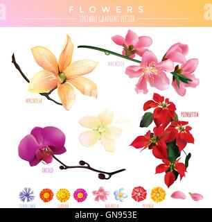 Editierbare Gradient Vektor Blumen Stock Vektor