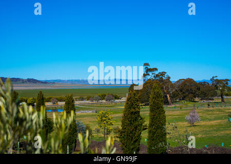 Die Aussicht von Lerida Gutsweine in Richtung Lake George nördlich von Canberra Stockfoto