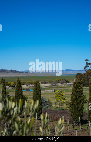 Die Aussicht von Lerida Gutsweine in Richtung Lake George nördlich von Canberra Stockfoto