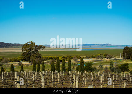 Die Aussicht von Lerida Gutsweine in Richtung Lake George nördlich von Canberra Stockfoto