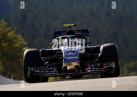 Motorsport: FIA Formel 1 Weltmeisterschaft 2016, Grand Prix von Belgien, #55 Carlos Sainz Junior (ESP, Scuderia Toro Rosso), Stockfoto