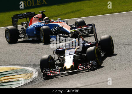Motorsport: FIA Formel 1 Weltmeisterschaft 2016, Grand Prix von Belgien, #55 Carlos Sainz Junior (ESP, Scuderia Toro Rosso), Stockfoto