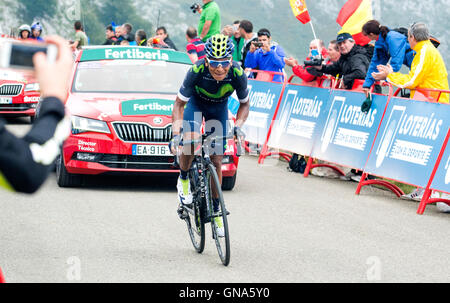 Covadonga, Spanien. 29. August 2016. Nairo Quintana (Movistar Team) gewinnt die 10. Etappe der Radrennen "La Vuelta a España" (Spanien-Rundfahrt) zwischen Lugones und Seen von Covadonga am 29. August 2016 in Covadonga, Spanien. Bildnachweis: David Gato/Alamy Live-Nachrichten Stockfoto