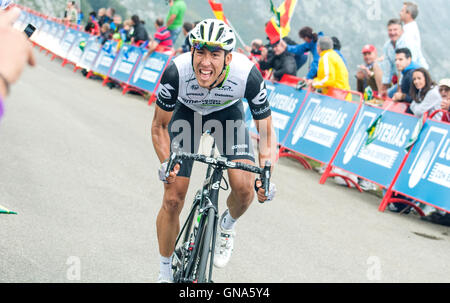 Covadonga, Spanien. 29. August 2016. Omar Fraile (Dimension Data) beendet die 10. Etappe der Radrennen "La Vuelta a España" (Spanien-Rundfahrt) zwischen Lugones und Seen von Covadonga am 29. August 2016 in Covadonga, Spanien. Bildnachweis: David Gato/Alamy Live-Nachrichten Stockfoto